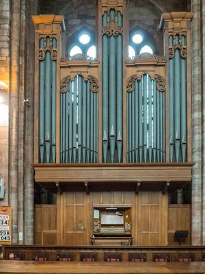 The organ