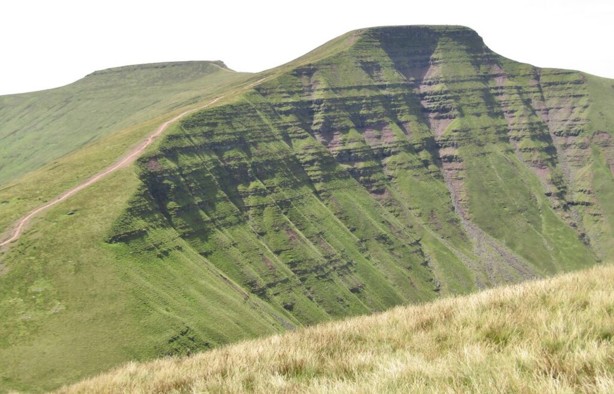 Concerns raised that visitors allow their dogs to poo wherever they like in Bannau Brycheiniog