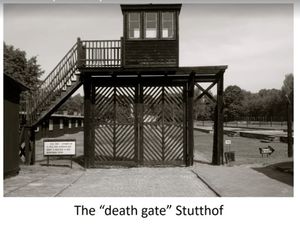 Supporting image for story: Lives honoured and horrors of Holocaust recalled during commemoration