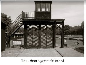 Supporting image for story: Lives honoured and horrors of Holocaust recalled during commemoration