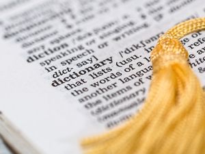 Supporting image for story: Dan Morris: Words and nerd herds