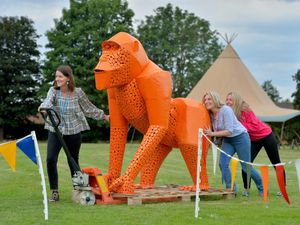Supporting image for story: Festival to thank NHS staff in Shropshire