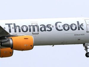 Supporting image for story: Wolves' owners Fosun on verge of Thomas Cook deal 