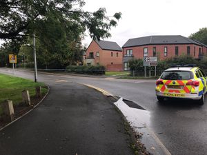 Supporting image for story: Taxi driver dies after crashing into tree in Telford