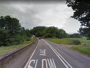 Supporting image for story: Police sniffer dog finds drink-driver hiding in corn field