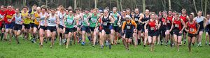 Under starter's orders – the men head off in the Birmingham & District League cross country event held at Aldersley Stadium. Pictures: Alan Evans