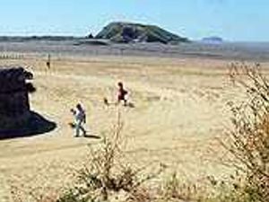 Supporting image for story: Weston's the Midlands on Sea