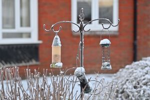 The snowfall led out photographer to take many wintery photos 