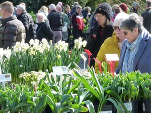 Supporting image for story: Spring blooms into life with return of popular plant hunters’ fair