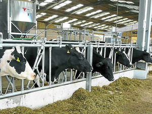 Supporting image for story: Brexit: Shropshire dairy farmers told to adapt to get benefits