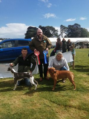  Champion Dog and Reserve Champion Dog with Judge Rhys Field