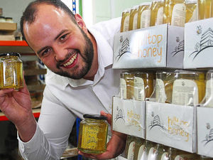 Supporting image for story: Honey firm flying high after £368,000 boost