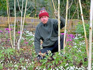 Supporting image for story: Shropshire garden group awarded funding for anniversary