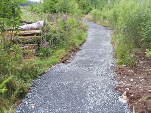 Supporting image for story: Wales announces independent review of flooding