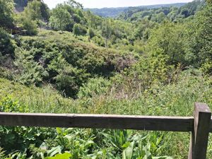 The steep valley down to Coalbrookdale. Picture: LDRS