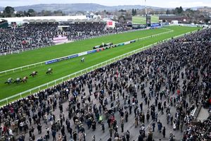 Irish jockey Paul Townend and his horse Lossiemouth compete to win the Close Brothers Mares' Hurdle race , the fourth race of the first day. (Photo by JUSTIN TALLIS / AFP)