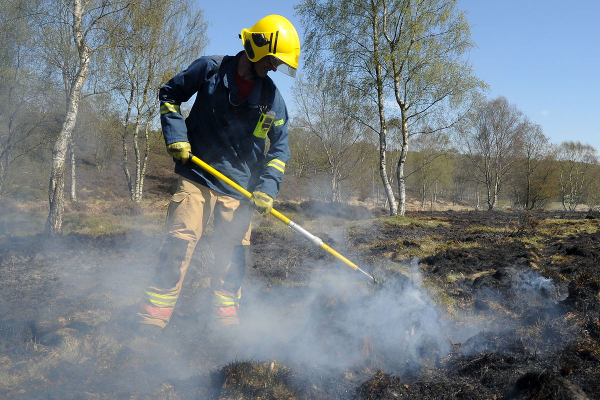 Fire service in Midlands saw dramatic six-fold increase in call-outs as wildfires raged in early 2025 Curated by Alerts360