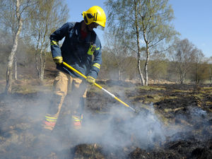 Supporting image for story: Fire service in Midlands saw dramatic six-fold increase in call-outs as wildfires raged in early 2025