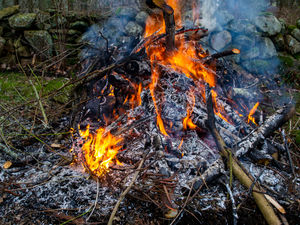 Supporting image for story: Coronavirus: Shropshire Council issues legal action warning over bonfires 