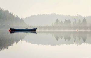 2019: Lake Vyrnwy looks dreamy in the hazy afternoon sunshine in an image captured by Star photographer Jamie Ricketts
