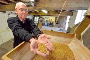 Mr Baswith with corn which is ground into wholemeal flour