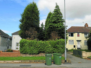 Supporting image for story: End of Cannock neighbours' 17-year spat over trees is in sight
