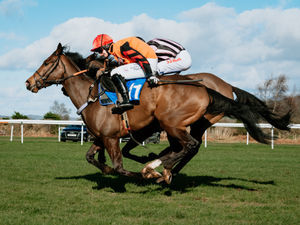 Supporting image for story: British Horseracing Authority announce suspension