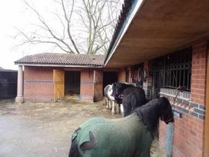 Supporting image for story: Bungalow plan for former Wolverhampton stable block