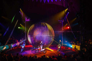 Supporting image for story: Circus Funtasia to return to Telford