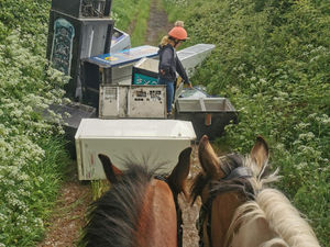 Supporting image for story: Flytippers are making life a misery for horse riders