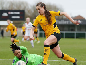 Supporting image for story: Beth Merrick: Wolves Women want promotion for boss Dan McNamara