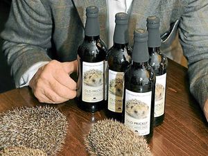 Supporting image for story: Boycie helps to brew up a boost for hedgehog charity