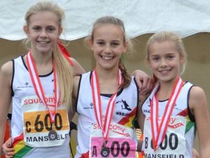 Supporting image for story: Runners bag a bronze