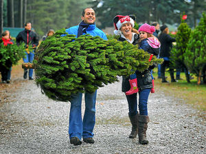 Supporting image for story: Best of Peter Rhodes - December 14