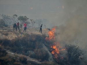 Supporting image for story: Climate change ‘made deadly wildfires in Turkey, Greece and Cyprus more fierce’