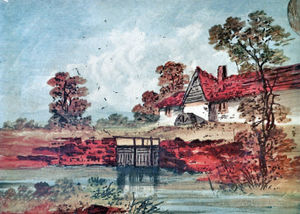 Supporting image for story