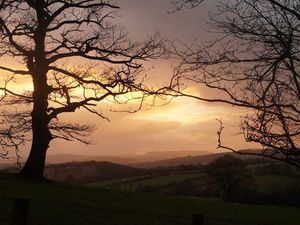 Supporting image for story: Focus on South Shropshire