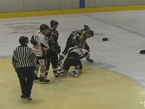 Supporting image for story: Tempers flare as Telford Tigers lose battle with Bees