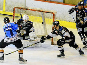 Supporting image for story: New-look Telford Tigers face home tests