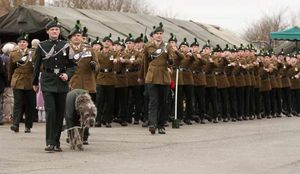 Supporting image for story: Great turnout for soldiers' parade