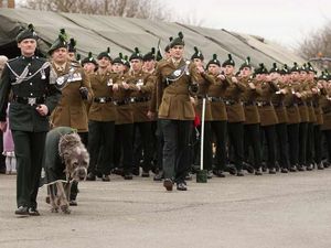 Supporting image for story: Great turnout for soldiers' parade