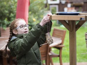 Supporting image for story: Birds and birdsong help with life under lockdown, survey suggests