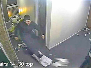 Supporting image for story: CCTV reveals horror as rare birds tortured to death