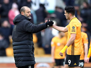 Supporting image for story: Steve Bull: Raul Jimenez can win silverware at Wolves