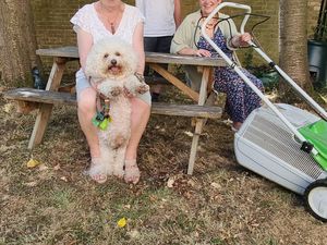 Supporting image for story: 'All the decorum of a five-year old’s birthday party' - Dudley Council meeting hoping to resolve memorial garden spat 'descends into chaos'