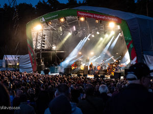 Supporting image for story: Big names ready to rock Cannock Chase Forest as popular series returns