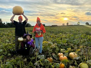 The farm is also home to Staffordshire's biggest PYO Pumpkin Patch and several other ticketed events
