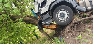 The lorry had hit and uprooted a tree after the collision with the bus