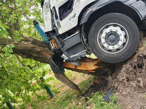 The lorry had hit and uprooted a tree after the collision with the bus
