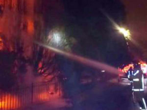 Supporting image for story: Shropshire tree blaze was arson, say fire service